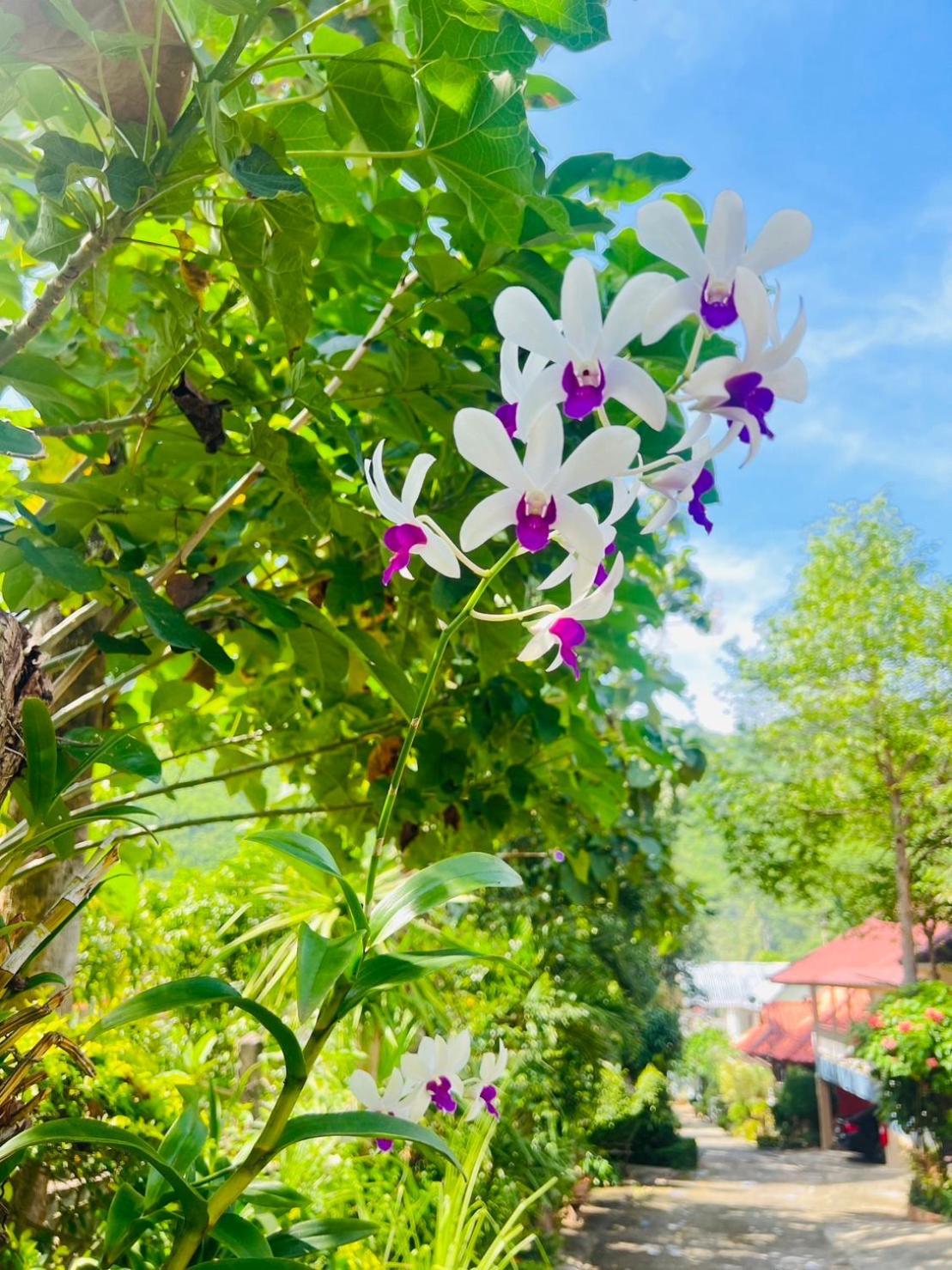 Suriyan Villa Erawan Kanchanaburi สุริยัน วิลล่า เอราวัณ กาญจนบุรี Tha Kradan Buitenkant foto